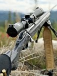 Ruger_American_30-06_02.jpg